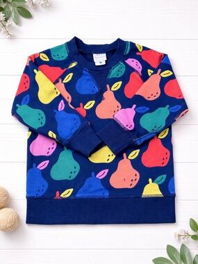 Hanna Andersson Navy Sweatshirt with Multicolor Pear Print